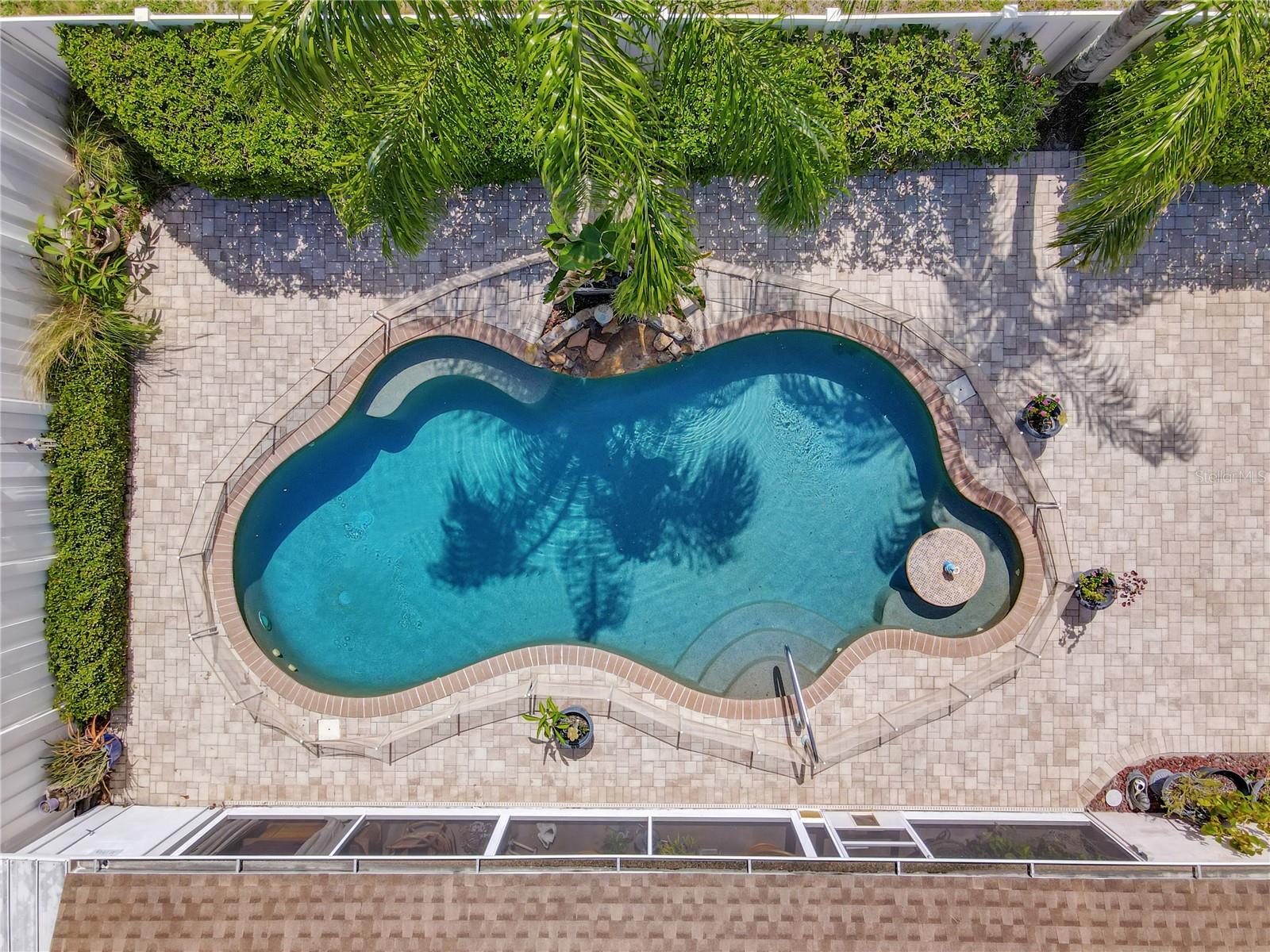 4300 Onorio St, New Port Richey, FL 34653 photo