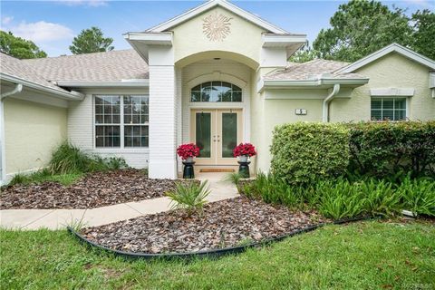 Single Family Residence in HOMOSASSA FL 5 W PRIMULA COURT.jpg
