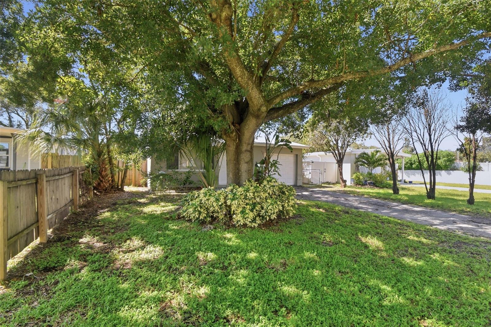 310 93 Ave, Saint Petersburg, FL 33702 photo