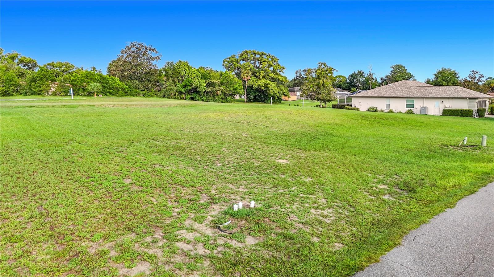 5401 Boxtree Ct, Dade City, FL 33523 photo