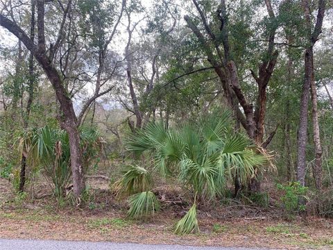  in DUNNELLON FL 0 SW HALF MOON DRIVE.jpg