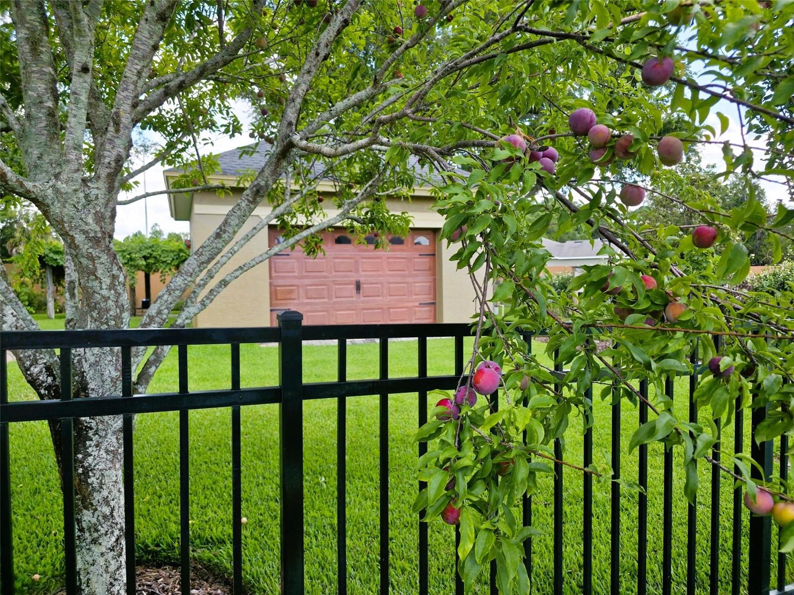 5629 Hillside Landing Rd, Lakeland, FL 33810 photo