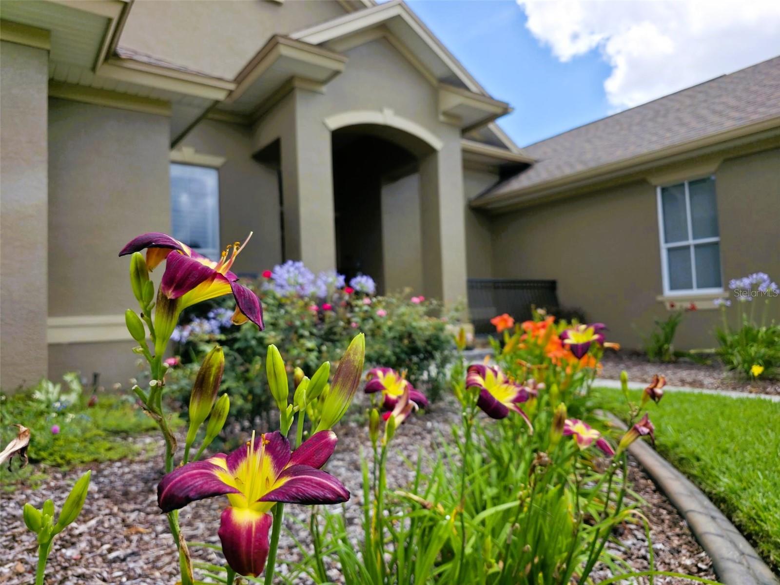 5629 Hillside Landing Rd, Lakeland, FL 33810 photo
