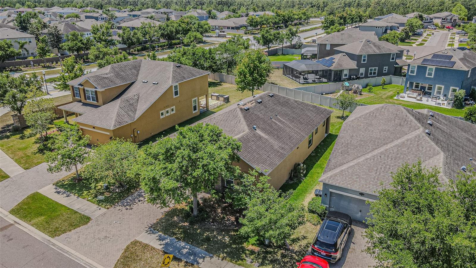 1667 Nature View Dr, Lutz, FL 33558 photo