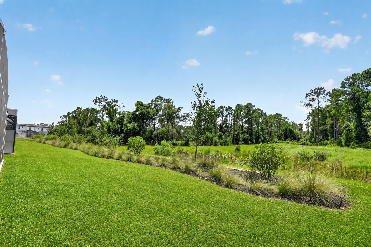 1242 Butterfly Orchid Rd, Davenport, FL 33837 photo