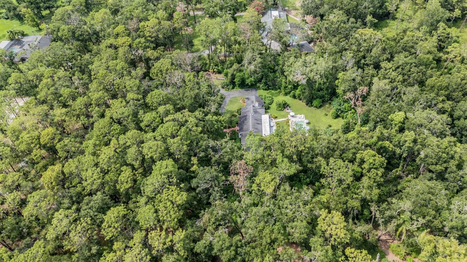 Single Family Residence in DADE CITY FL 14410 HALE ROAD 52.jpg