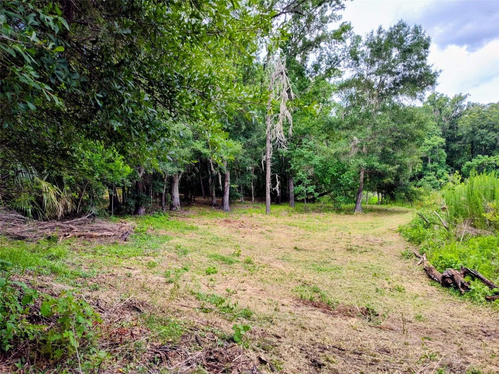 Fitzhugh Ave, Brooksville, FL 34601 photo