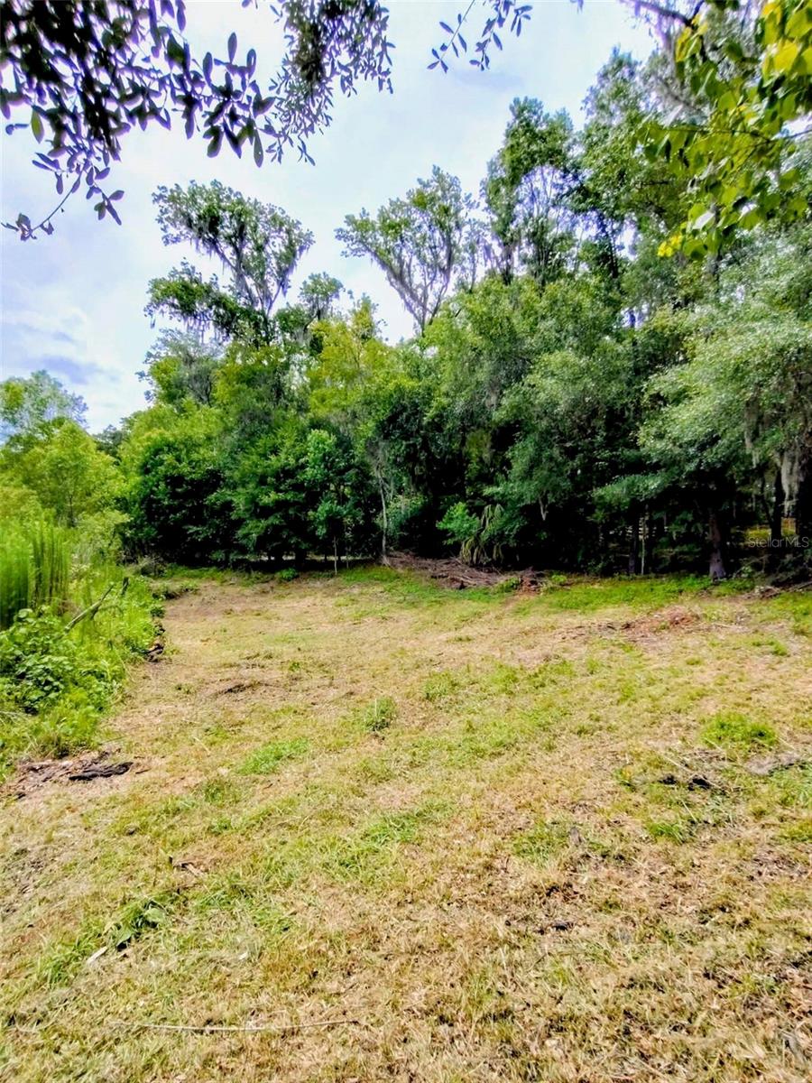 Fitzhugh Ave, Brooksville, FL 34601 photo