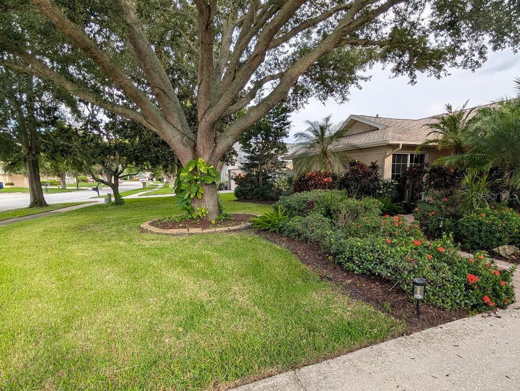 2673 Montague Ct, Clearwater, FL 33761 photo