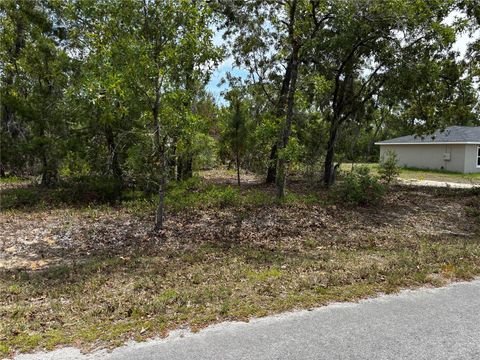  in OCKLAWAHA FL MALAUKA PLACE TRAIL.jpg