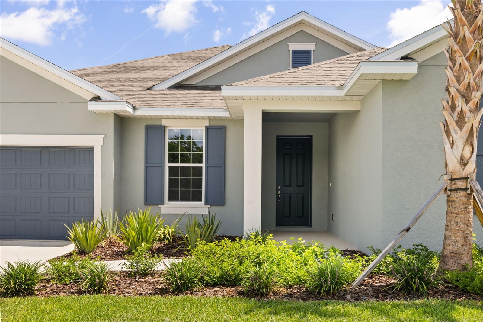 17441 Valleywood Pkwy, Land O Lakes, FL 34638 photo