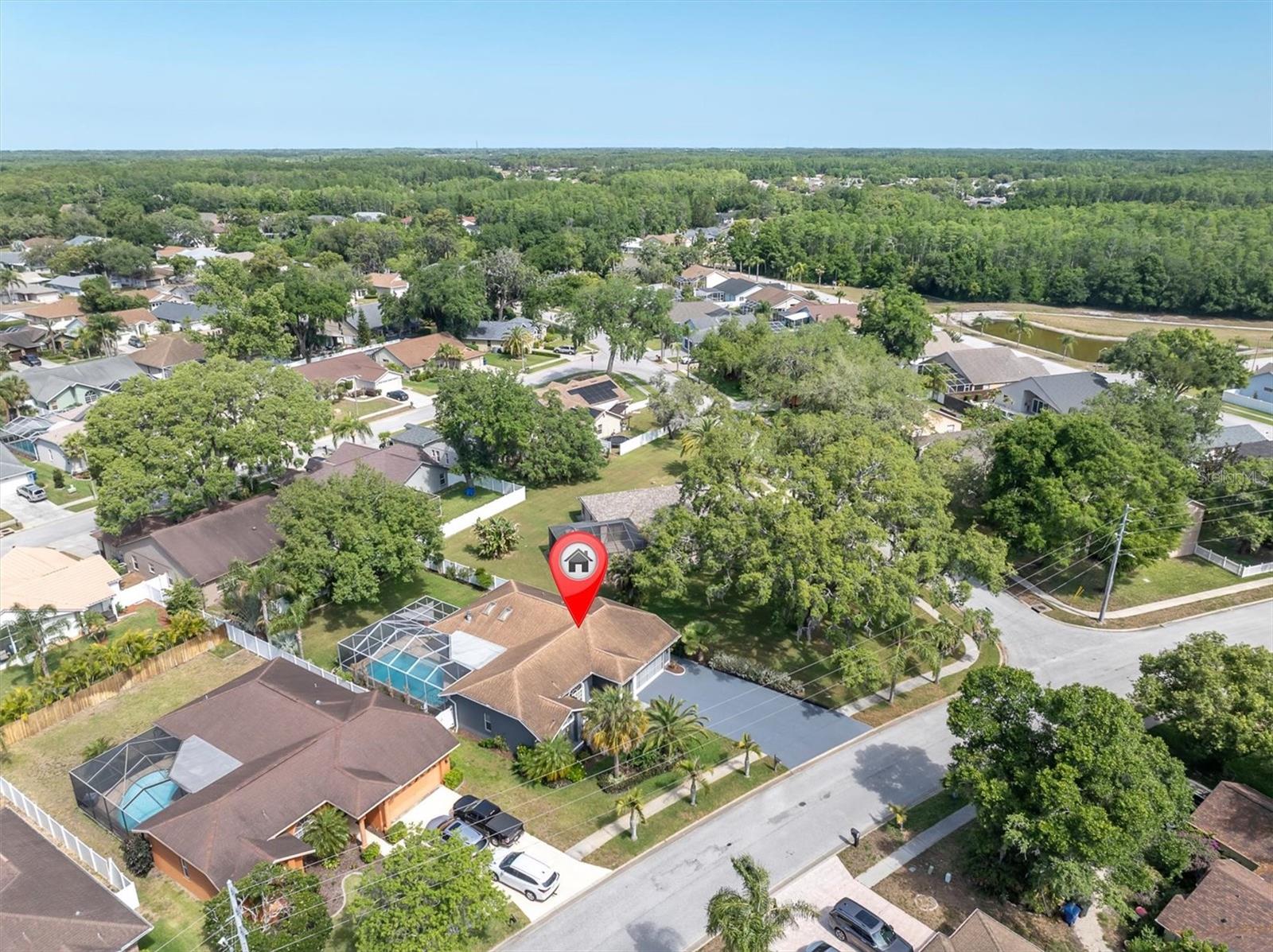 4851 Deer Lodge Rd, New Port Richey, FL 34655 photo