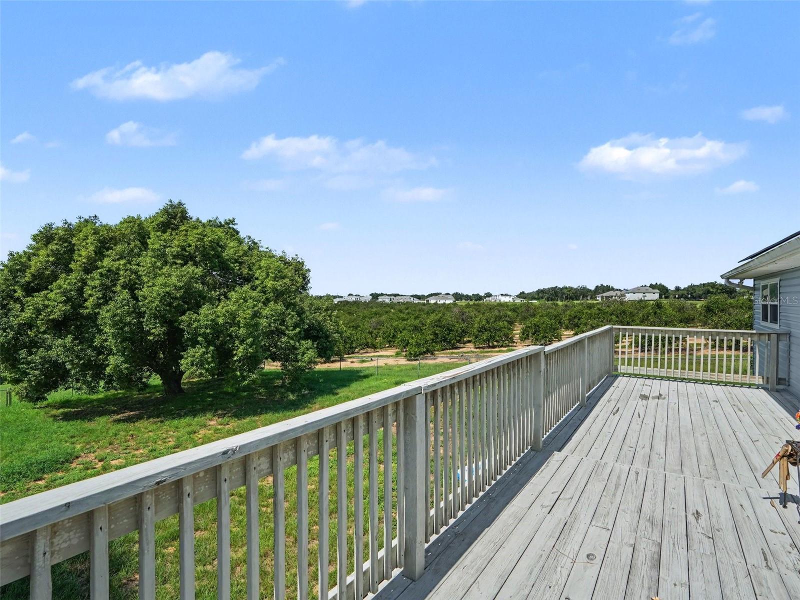 705 Lake Ada Blvd, Dundee, FL 33838 photo