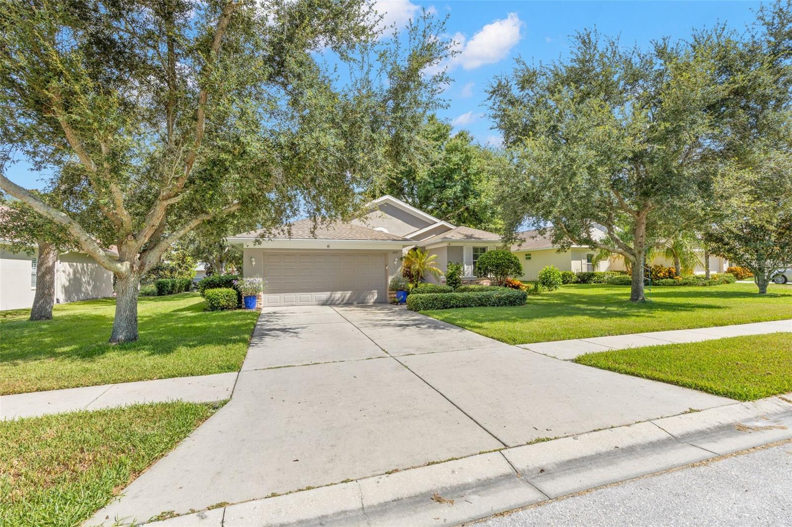 1527 River Ct, Tarpon Springs, FL 34689 photo