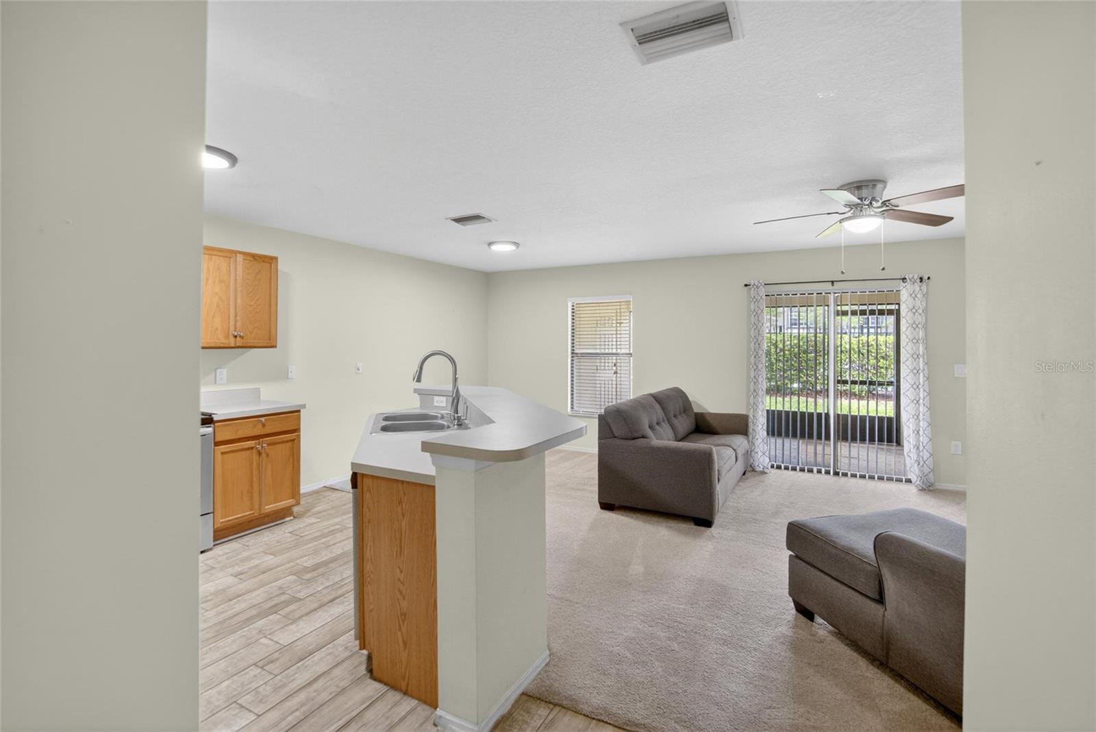 2605 Oleander Lake Dr, Brandon, FL 33511 photo