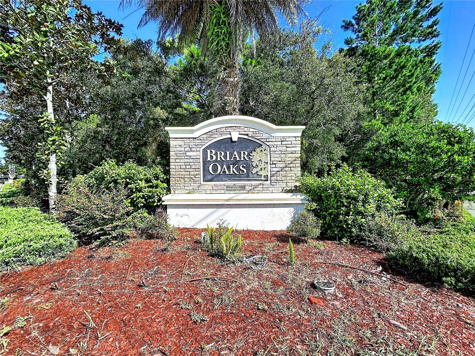 18607 Briar Oaks Dr, Hudson, FL 34667 photo