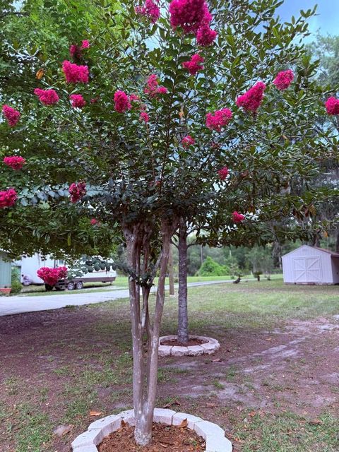 Single Family Residence in MELROSE FL 115 2ND STREET 23.jpg