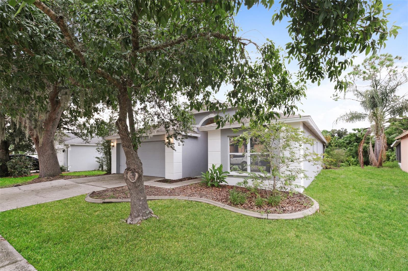 823 Rocky Mountain Ct, Valrico, FL 33594 photo