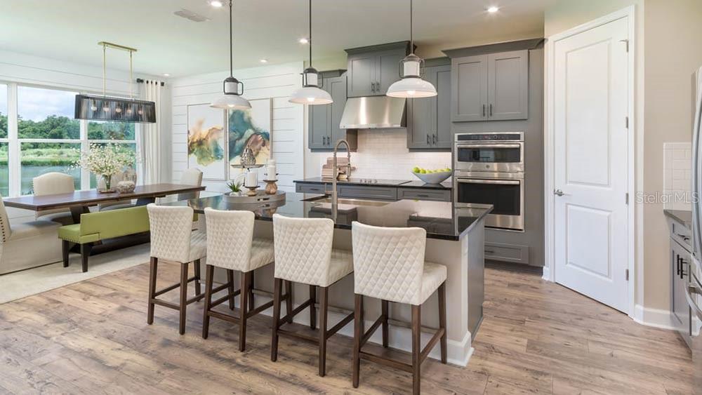 3614 Pine Peak Loop, Plant City, FL 33565 photo