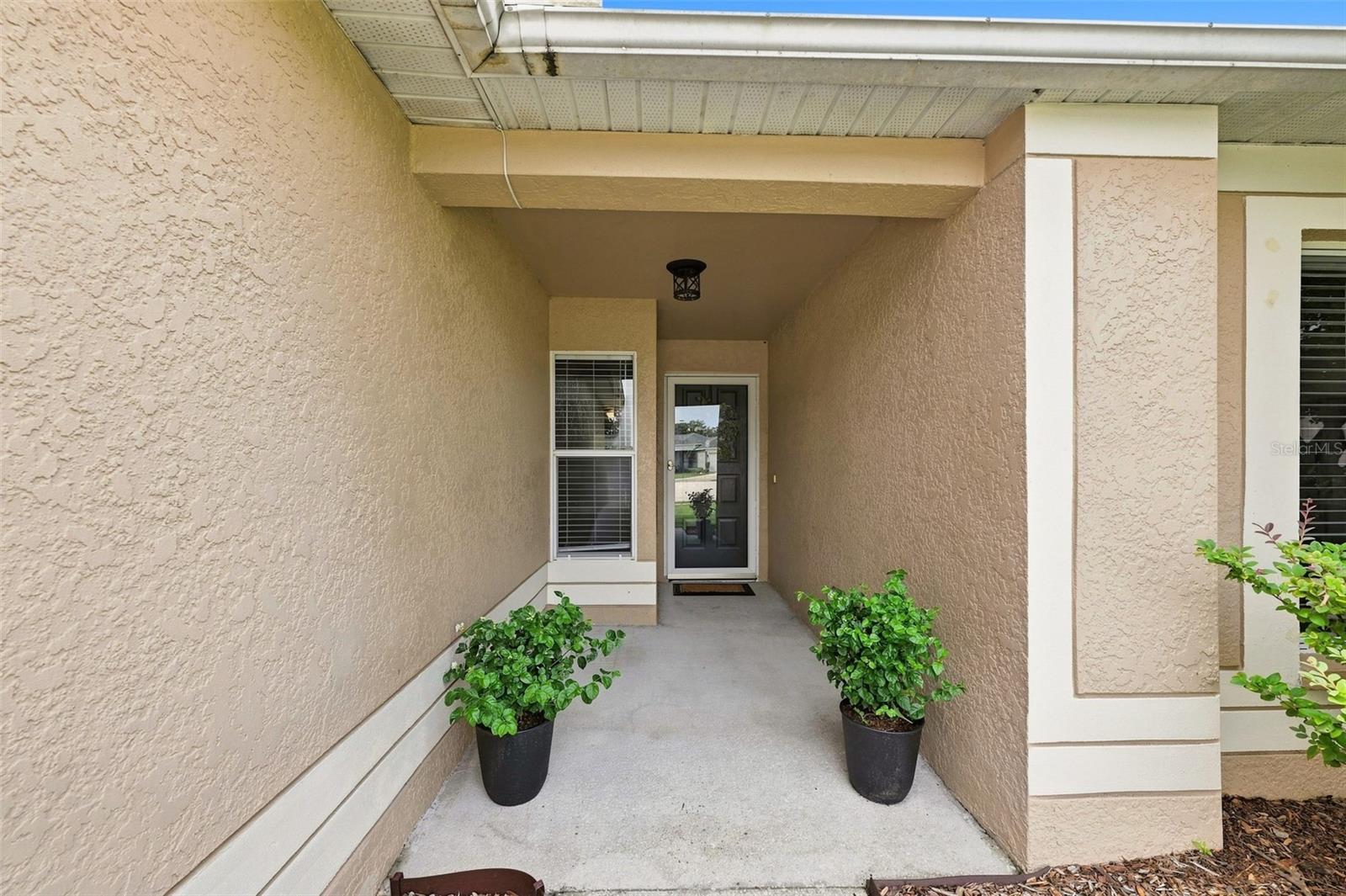 13203 Prestwick Creek Dr, Riverview, FL 33579 photo
