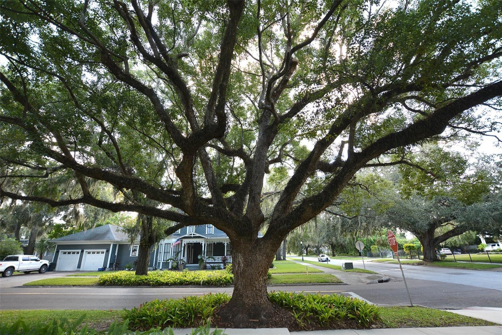 705 E Church St, Bartow, FL 33830 photo