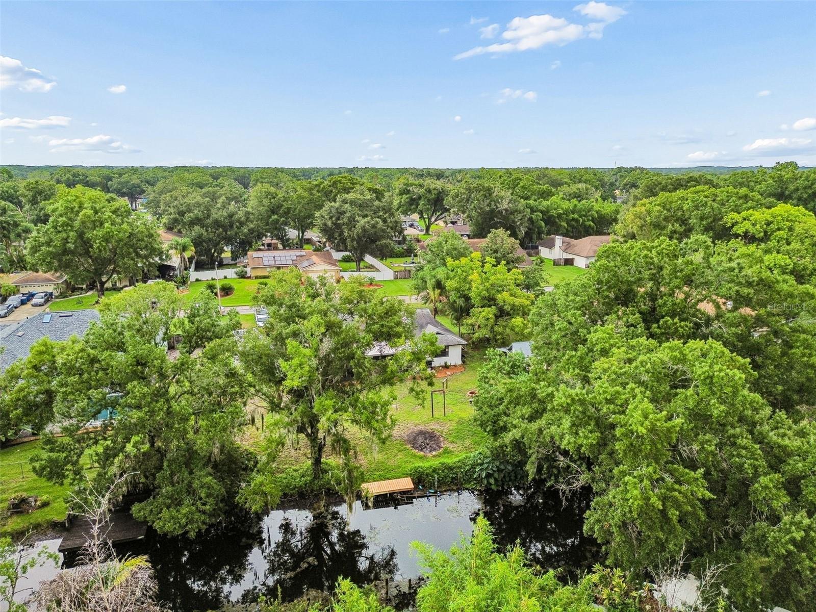 22408 Shoreside Dr, Land O Lakes, FL 34639 photo