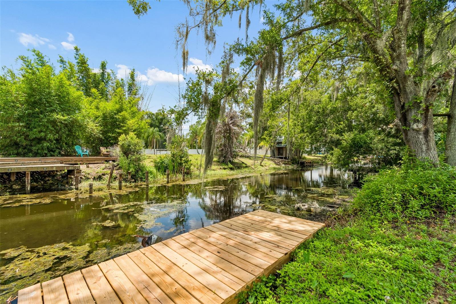 22408 Shoreside Dr, Land O Lakes, FL 34639 photo