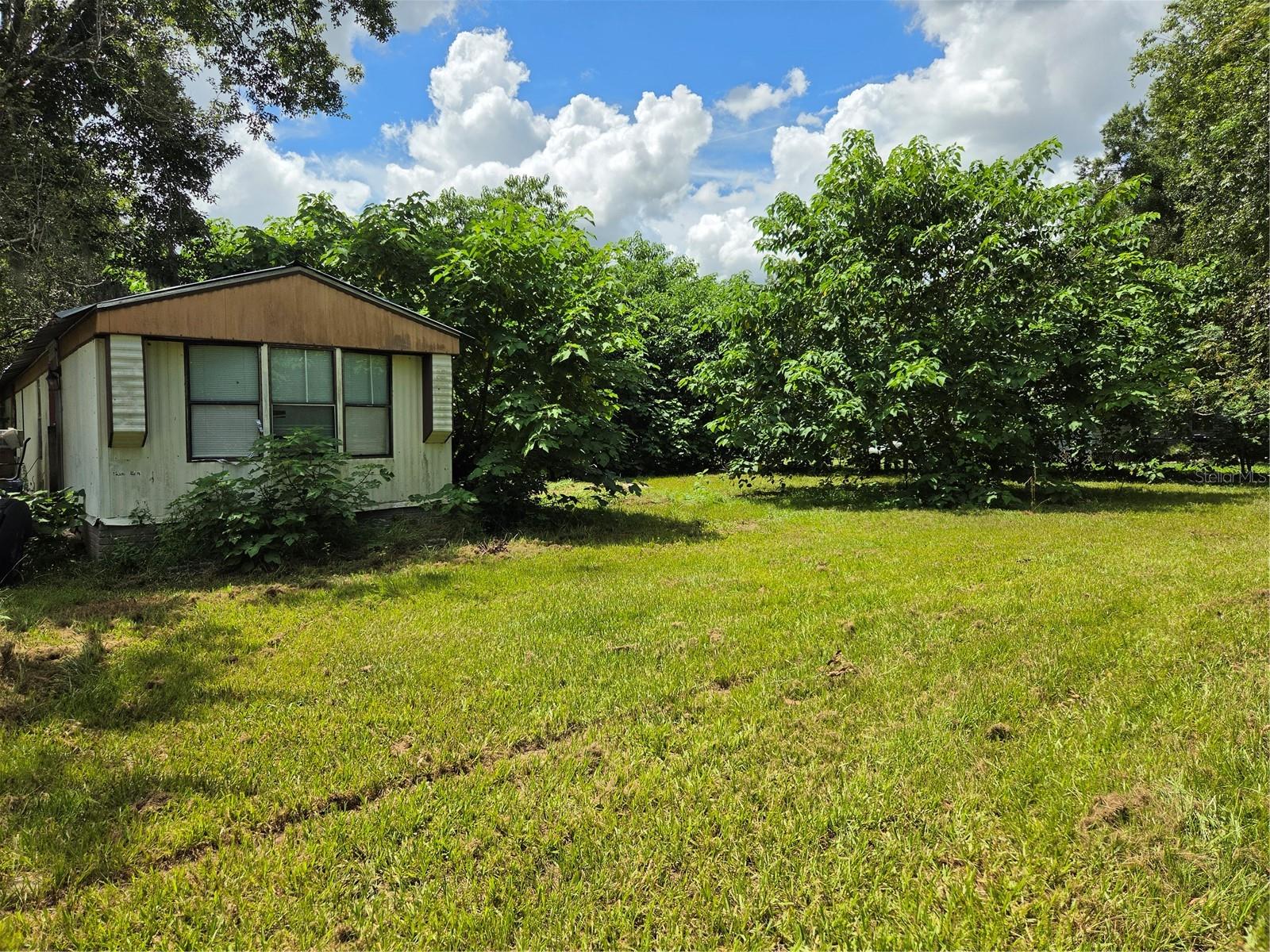 33349 Arthur Dr, Wesley Chapel, FL 33543 photo