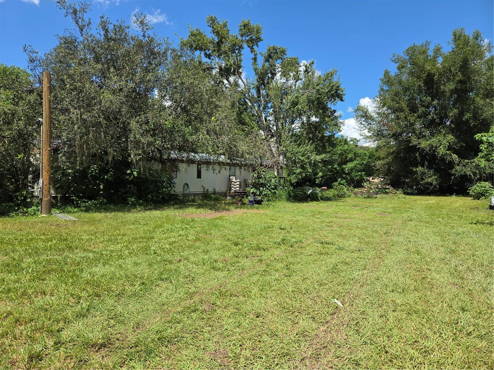 33349 Arthur Dr, Wesley Chapel, FL 33543 photo