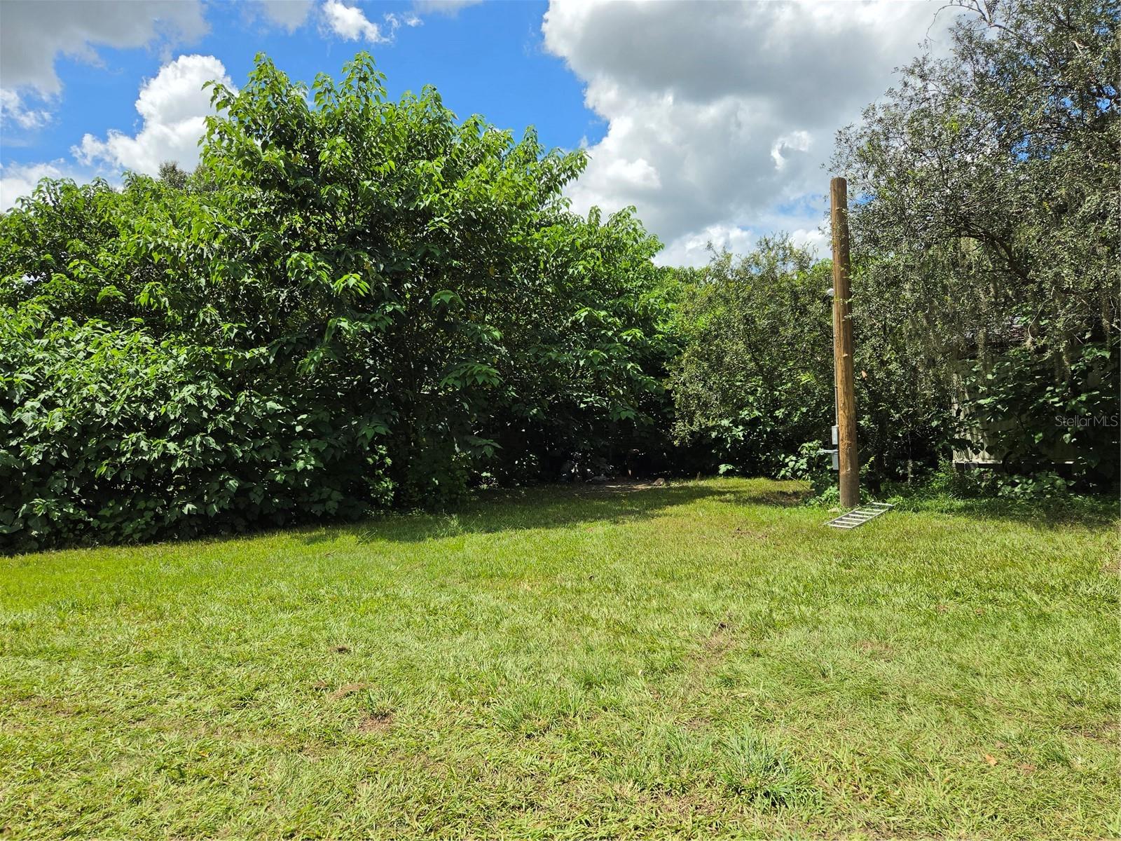 33349 Arthur Dr, Wesley Chapel, FL 33543 photo
