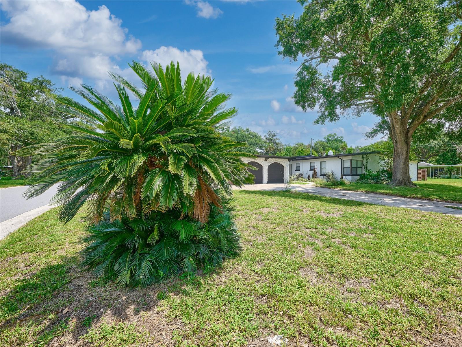 1100 Cornell Dr, Sanford, FL 32771 photo