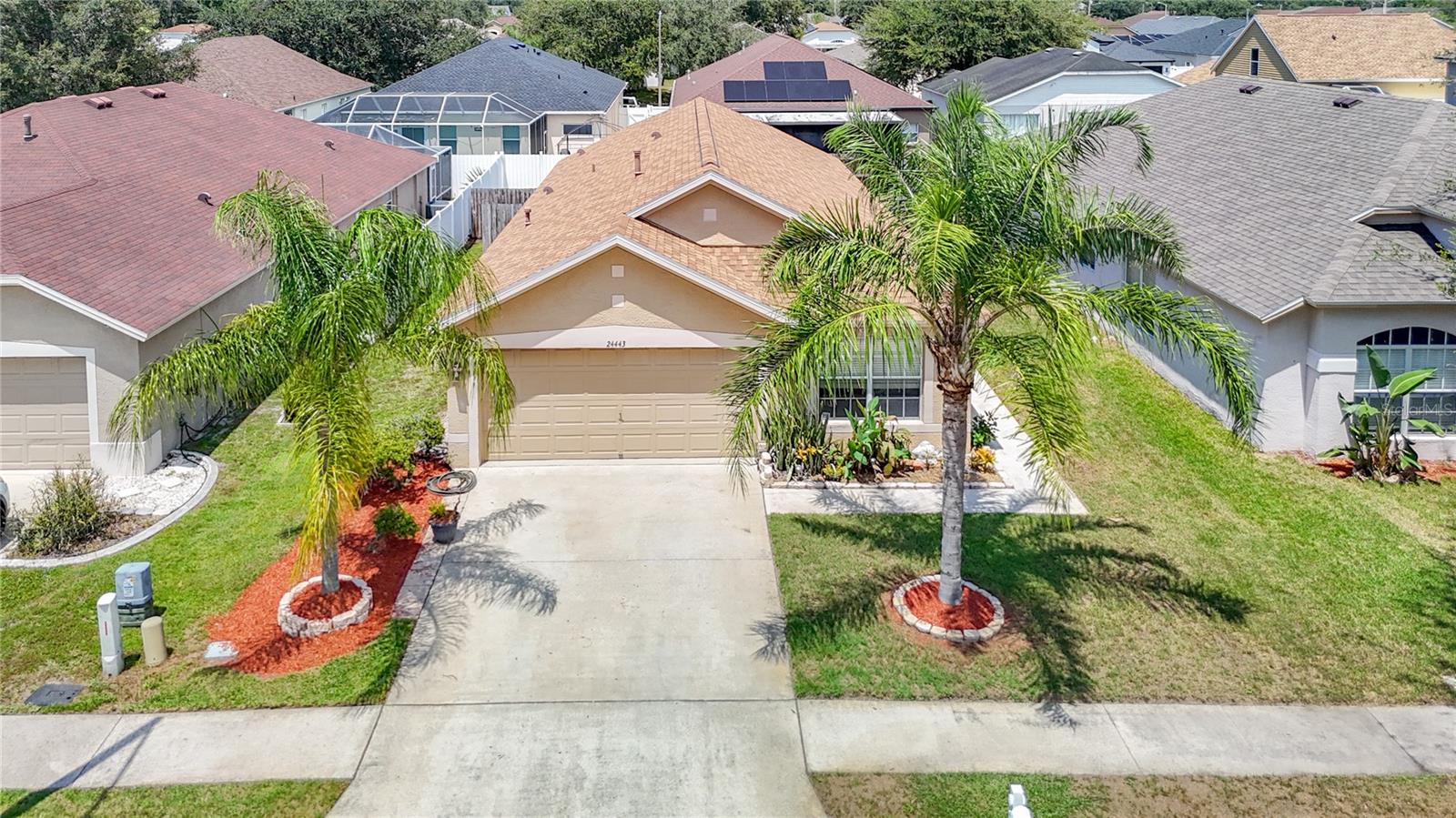 24443 Summer Wind Ct, Lutz, FL 33559 photo