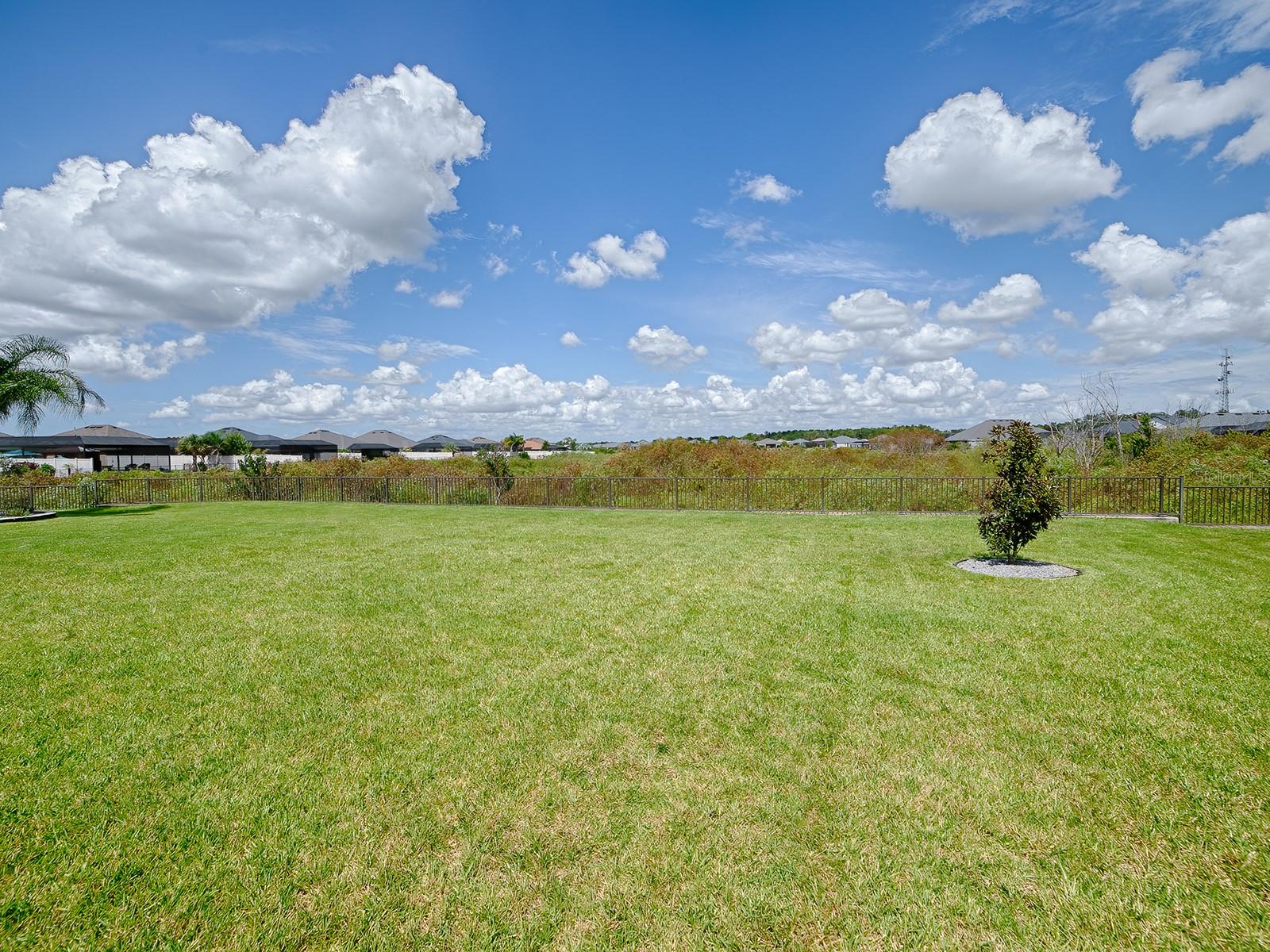 3075 Licciardello Path, The Villages, FL 32163 photo