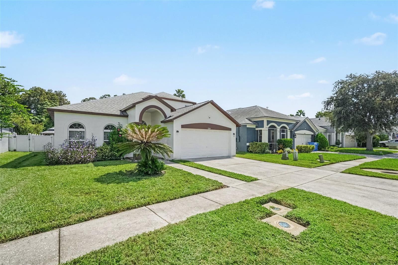 4304 Tarkington Dr, Land O Lakes, FL 34639 photo