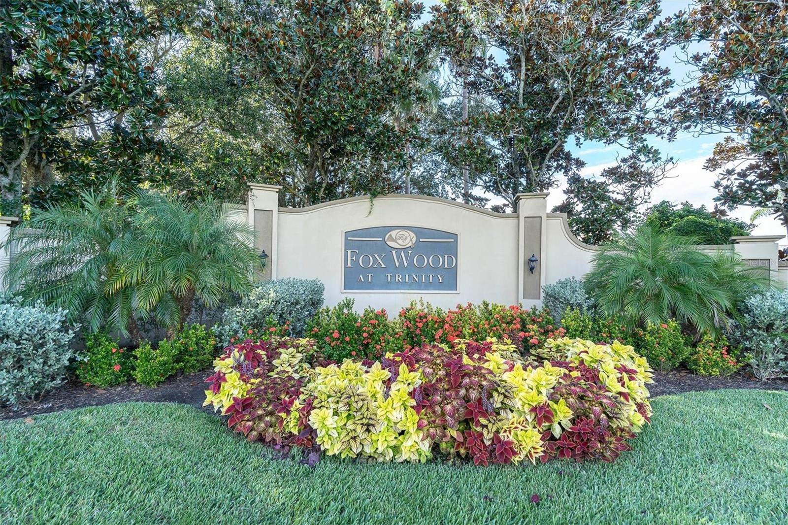 1746 Roseroot Ct, Trinity, FL 34655 photo