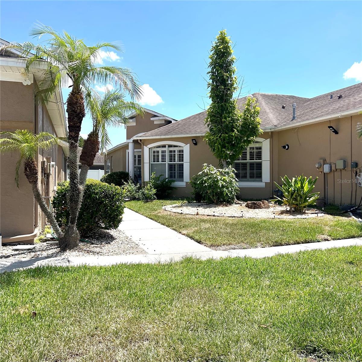 30236 Lettingwell Cir, Wesley Chapel, FL 33543 photo