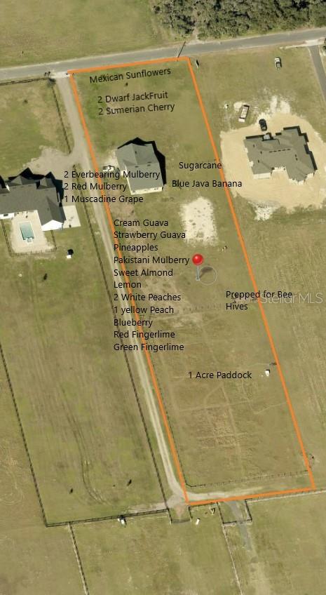 3063 English Rd, Plant City, FL 33567 photo