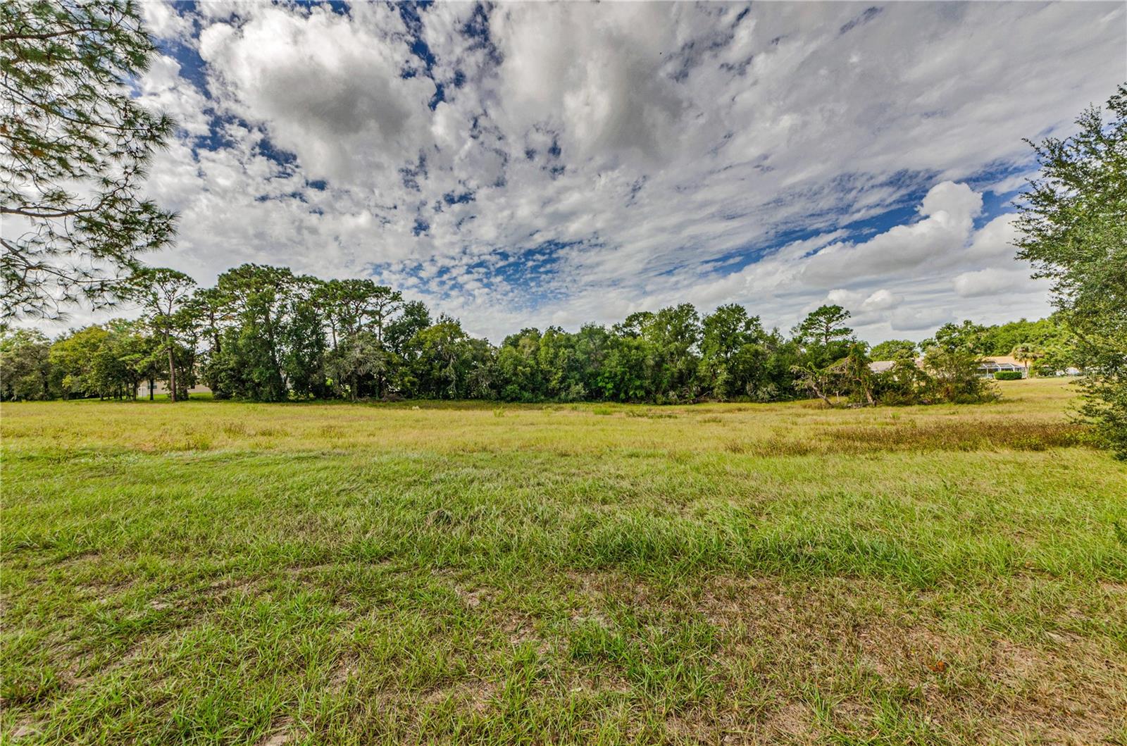 10443 Casa Grande Cir, Spring Hill, FL 34608 photo