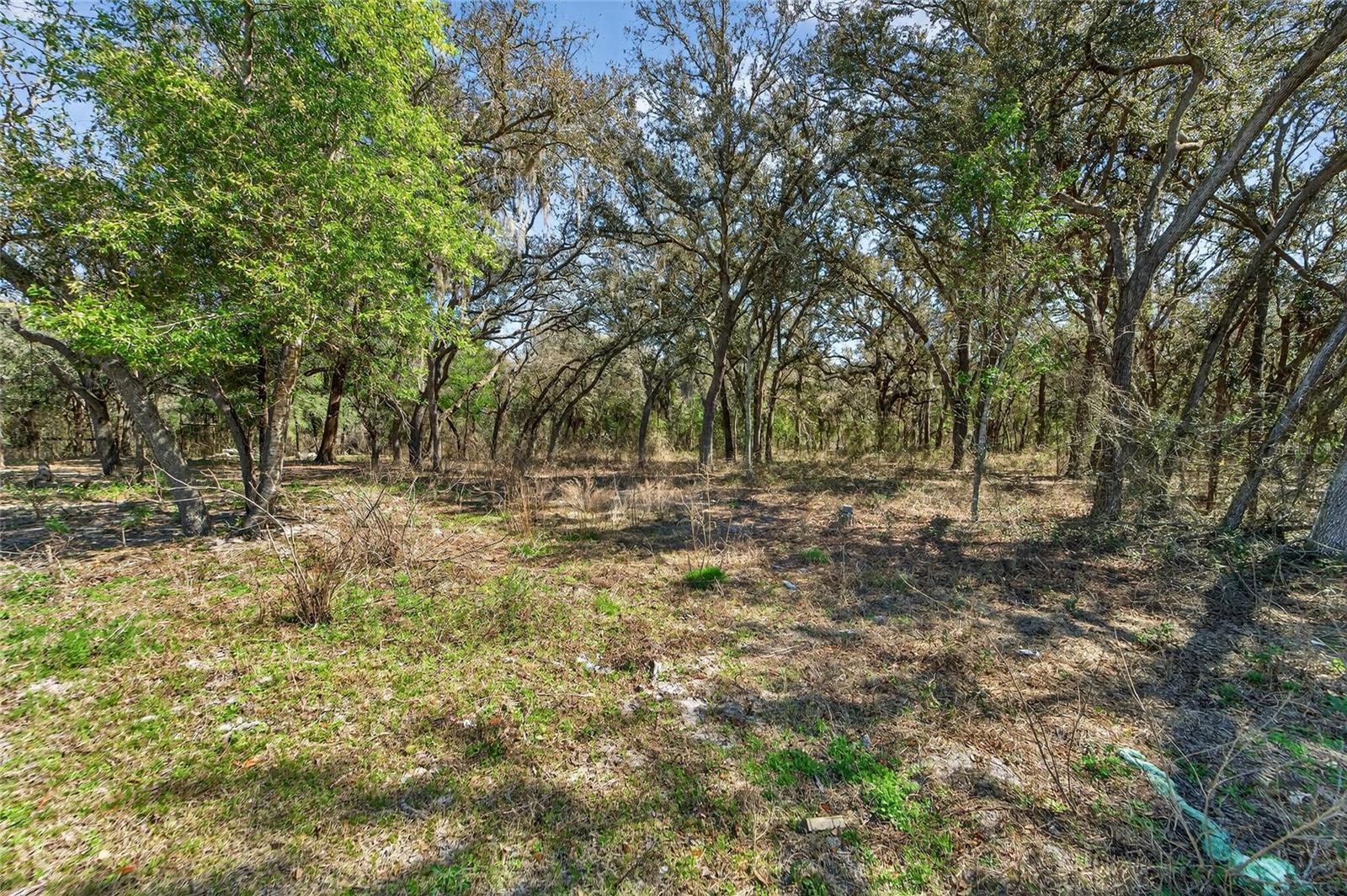 35238 Manuel St, Webster, FL 33597 photo
