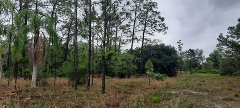  in INDIAN LAKE ESTATES FL 823 PANDORA DRIVE.jpg