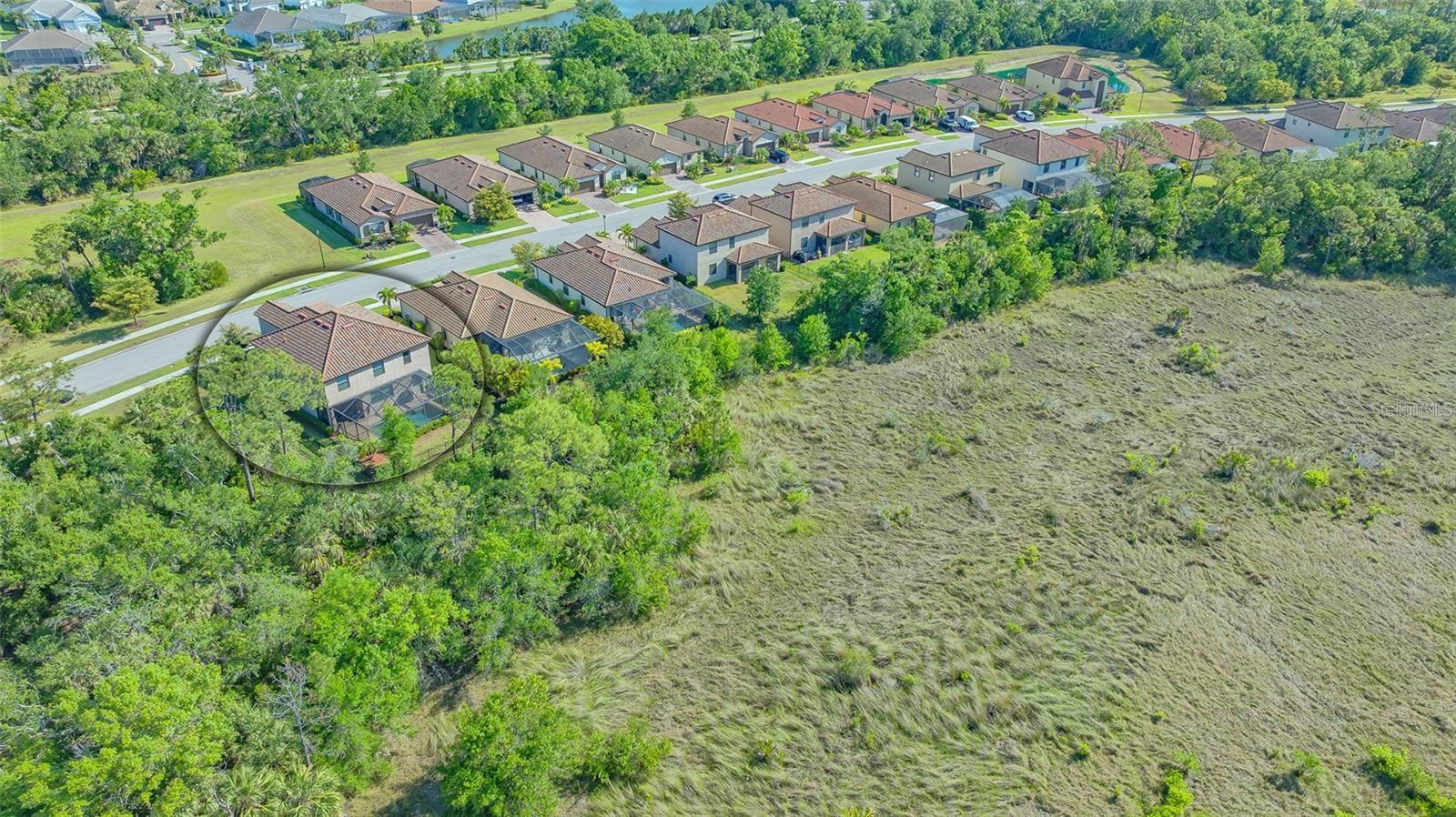 12801 Cinqueterre Dr, Venice, FL 34293 photo