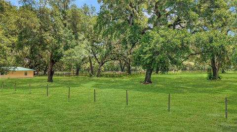 Farm in BUSHNELL FL 975 CR 542E 80.jpg