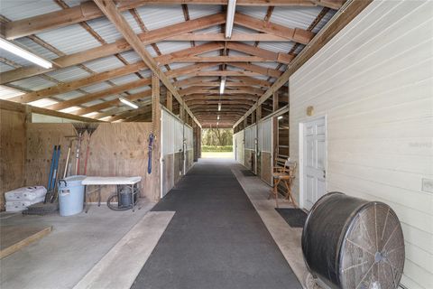 Farm in BUSHNELL FL 975 CR 542E 69.jpg