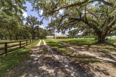 Farm in BUSHNELL FL 975 CR 542E 91.jpg