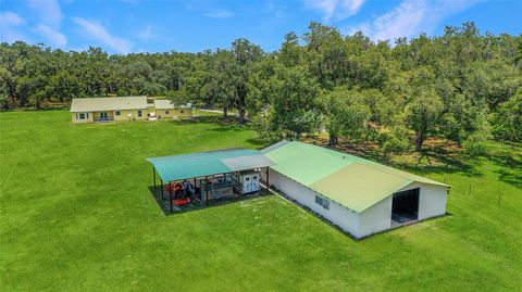 Farm in BUSHNELL FL 975 CR 542E 79.jpg