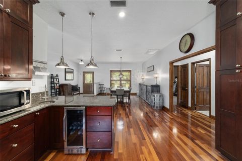 Farm in BUSHNELL FL 975 CR 542E 29.jpg