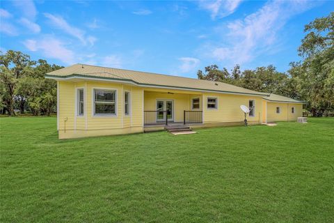 Farm in BUSHNELL FL 975 CR 542E 45.jpg