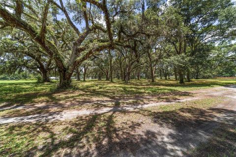 Farm in BUSHNELL FL 975 CR 542E 90.jpg