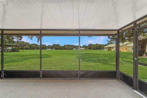 Farm in BUSHNELL FL 975 CR 542E 52.jpg