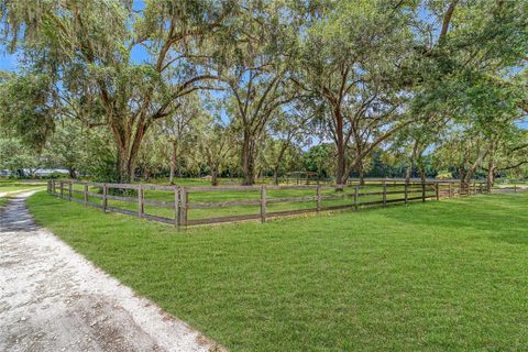 Farm in BUSHNELL FL 975 CR 542E 84.jpg
